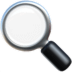 Insights & Trends